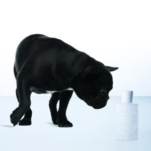 93PANY100 Anyway – Fragranze Corpo – JULIETTE HAS A GUN