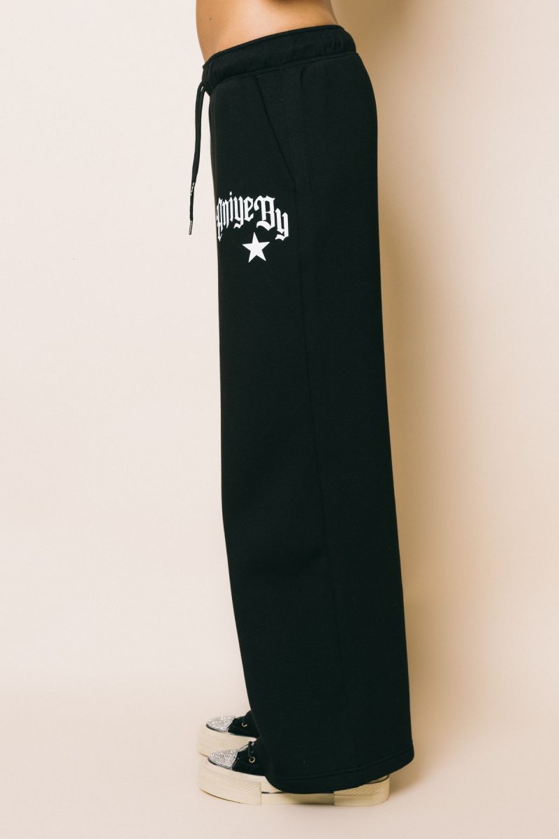 181496 Stella Pants Black – Pantaloni – ANIYE BY - immagine 7