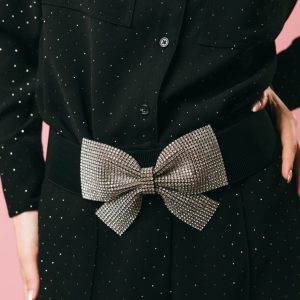 Addicted crystal – Cinture – ESSENTIEL ANTWERP